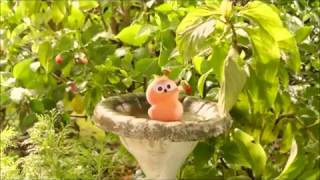 30 Minutes Long EDF Energy Advert quotDancing Zingy [upl. by Essinger284]