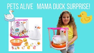 Pets Alive Mama Duck Surprise Toy Review [upl. by Wilson]