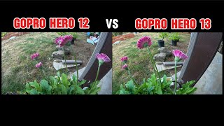 GoPro hero 12 vs GoPro hero 13 in the field comparison video [upl. by Norrad]