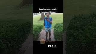 Perros asustando repartidores parte 2 shorts [upl. by Hendel]