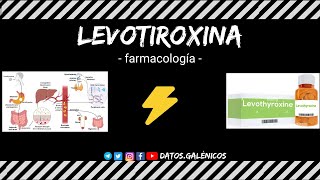 Levotiroxina ⚡️ farmacocinética y farmacodinámia ⚡️ mecanismo de acción de la hormona tiroidea [upl. by Naro]