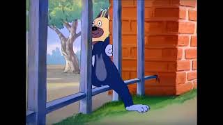 Tom and Jerry 16 Episode Puttin’ on the Dog 1944 YouTube [upl. by Nej]