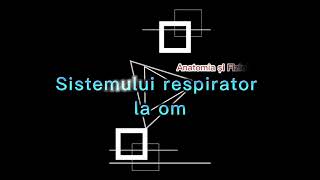 Sistemul respirator la om [upl. by Donahue602]