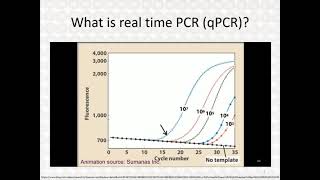 Real Time PCR  Part 3 [upl. by Haidabez]