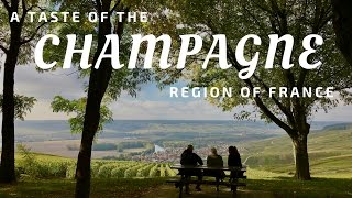 A taste of the Champagne region France [upl. by Madi]