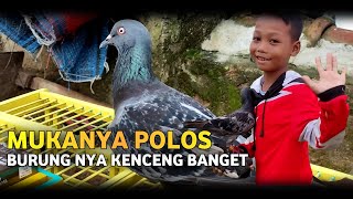 Ini dia joki cilik paling ditakuti❗bawa burung apa batu [upl. by Silma]