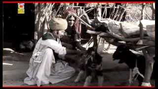 Ital Pital Ro Bedalo  Raichand Jiyo  Hit Rajasthani Song [upl. by Latreshia]