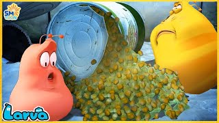 LARVA Season 3 Episode 50  100  New Cartoons 2024  Hilarious Cartoon Compilation [upl. by Noyes]