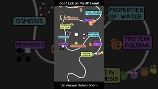 Amoeba Sisters AP Bio Test Pep Talk apbio apbiology [upl. by Wershba217]