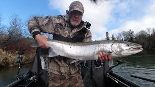 SOLO Trip  Big Steelhead [upl. by Pittman]