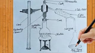 Project Work On Fractional Distillation  How To Draw Fractional Distillation Diagram  NCRT CBSE [upl. by Maillw449]