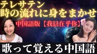 テレサテン「時の流れに身をまかせ」中国語版を日本語で解説！ [upl. by Neehsuan]