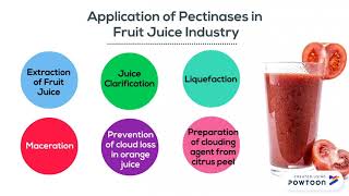 PutraMOOC  Pectinases in Beverage Industry [upl. by Eecyac]