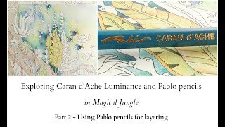 Exploring Caran dAche Luminance and Pablo pencils  part 2  Pablo pencils for layering [upl. by Lahsiv]