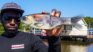 Fishing GIANT Swimbaits On Docks with Geoff Hamilton [upl. by Hadley445]