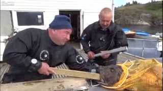 FULL Russian Divers Agony After Monkfish Bites Hand [upl. by Steel]