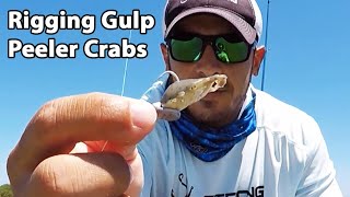 How to Rig Gulp Peeler Crabs For Redfish amp Black Drum [upl. by Janot]