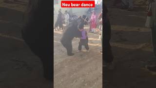 new dance 👍 bear reach dance 💯🔥 animalsshorts youtubeshorts beardinac viralvideo [upl. by Feldt]