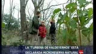 La turbera de Valdeyernos Los Yébenes Toledo España [upl. by Tnahsin928]