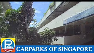 Singapore Flyer Car Park [upl. by Harimas]