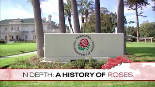 In Depth Rose Parade [upl. by Tnerual]