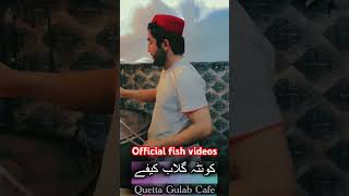 official fish and tea or cabab be mel ja yange کوئٹہ گلاب کئفے اسلا آباد گلڈاموڑ مناسب قیمت پر [upl. by Nner29]