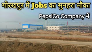 Gorakhpur PepsiCo Company में निकली डायरेक्ट भर्ती  PepsiCo Company gorakhpur  Legend Bhaiya Vlog [upl. by Anrehs]