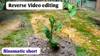 Reverse video editing Sinematic short [upl. by Chantal47]