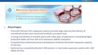 Analyzing antibody sequence for recombinant antibody expression [upl. by Sherborn]