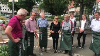 Hopfenpflanzen wachsen in der Einbecker Innenstadt [upl. by Mendez536]