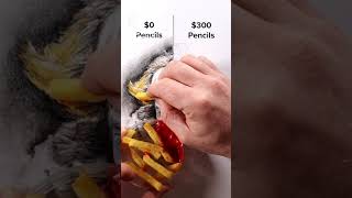 0 pencils vs 300 pencils drawing panivise realistic drawing subscribe1000subscriberdrawing [upl. by Akenihs643]