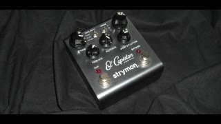 Strymon  El Capistan dTape Echo Clean HiFi Demo [upl. by Boyer]