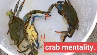 Crab in a Bucket Mentality amp How to Avoid It [upl. by Willman]