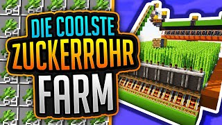 Die COOLSTE ZUCKERROHR FARM in MINECRAFT 121 Tutorial [upl. by Sualohcin]