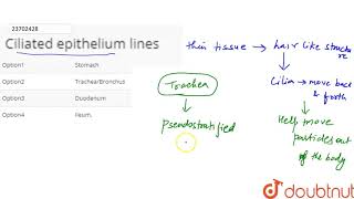 Ciliated epithelium lines [upl. by Uella]