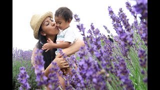 BEST LAVENDER FARM in CANADA  LAVENDER FESTIVAL in CANADA  LAVENDER FIELDS in CANADA [upl. by Atinev]