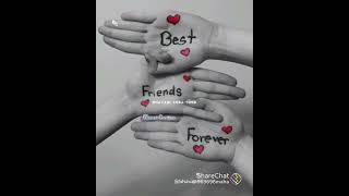 Best friends song best friends burning forever to your life [upl. by Imeaj]