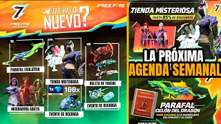 🔥LA PRÓXIMA AGENDA SEMANAL DE JULIO 2024 EN FREE FIRE PARAFAL EVOLUTIVA INCUBADORA GRATIS TIENDA [upl. by Adnawaj]