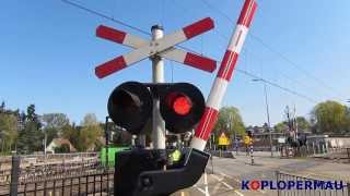 Dutch intercity at railroad crossing [upl. by Kammerer]