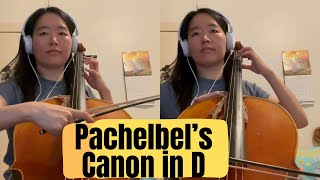 Pachelbel’ s Canon in D cellos only version [upl. by Magocsi372]