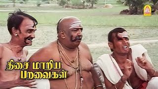 இவங்க ரெண்டு பேரும் அய்யனார் சிலை போல இருக்காங்களே  Thisai Maariya Paravaigal HD MovieSarath Babu [upl. by Giselbert]