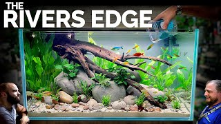 Rainbow Rivers Edge EPIC 3ft Aquarium Natural Style Aquascape Tutorial [upl. by Sheena]