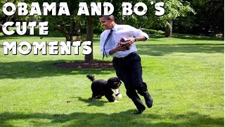 17 pictures of Obama and his dog Bos cute moments  Bo Obama [upl. by Sitruk279]