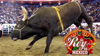 ¡TORNEO REY DE MÉXICO 2020 30 DE LOS MEJORES TOROS DE REPARO DE MÉXICO Y EUA [upl. by Birdt691]