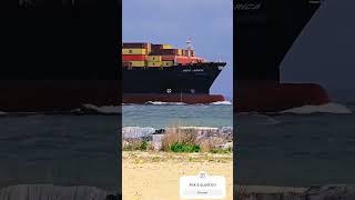 msc ship shipping sea seaman msc2023 seafarer [upl. by Bruyn260]