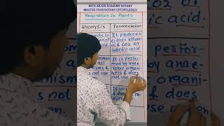 Glycolysis vs Fermentation  respiration in plants class 11 [upl. by Etnohc]