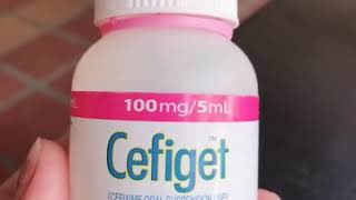 How to use Cefiget 100g5ml [upl. by Anitselec]