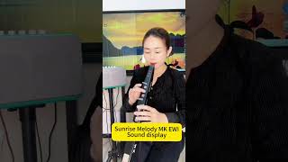 Sunrise Melody MK EWI sound display one of the 68 sounds ewi digitalsaxophone sunrisemelody [upl. by Andrien617]