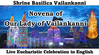 Day 7 of Vailankanni Novena English Mass Live at 715am 5th Sept 2024  Vailankanni Shrine [upl. by Magdalena]