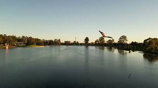 Shepparton VIC  Australia by drone 3 [upl. by Lorrimor]